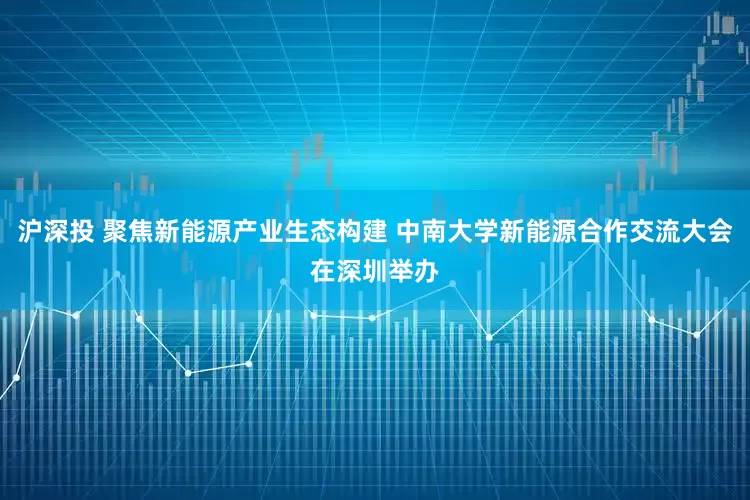沪深投 聚焦新能源产业生态构建 中南大学新能源合作交流大会在深圳举办