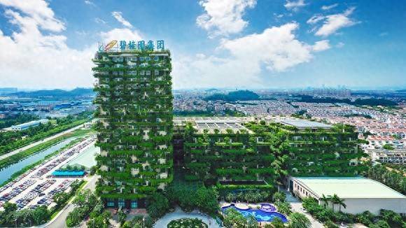 好牛优配 碧桂园杨惠妍：当前的重点工作是保交房